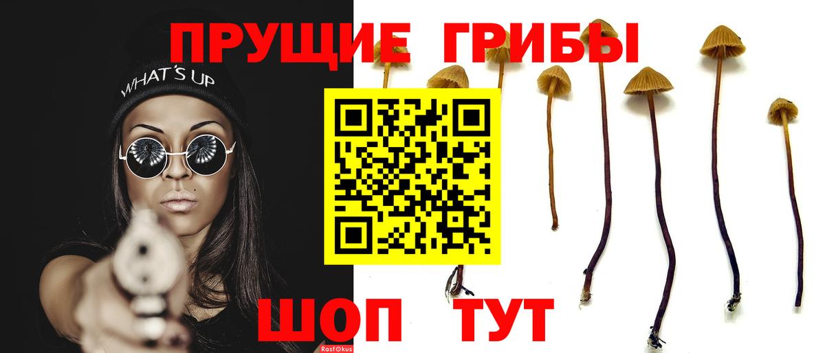 Псилоцибиновые грибы мухоморы  Вход с VPN  Торжок  Галлюциногенные грибы мицелий 