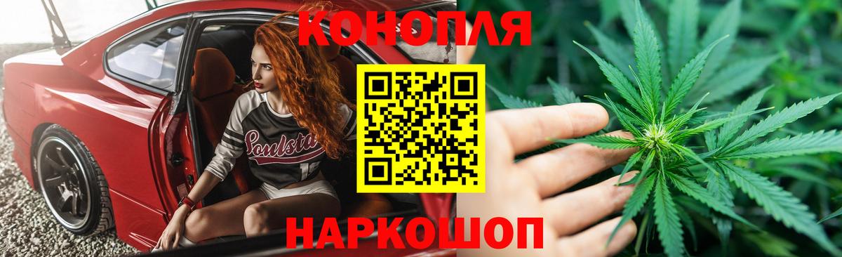 Канабис планчик Торжок